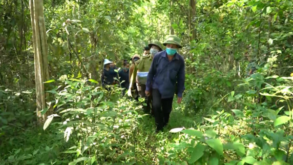 Tín chỉ carbon góp phần bảo vệ môi trường và bảo tồn đa dạng sinh học