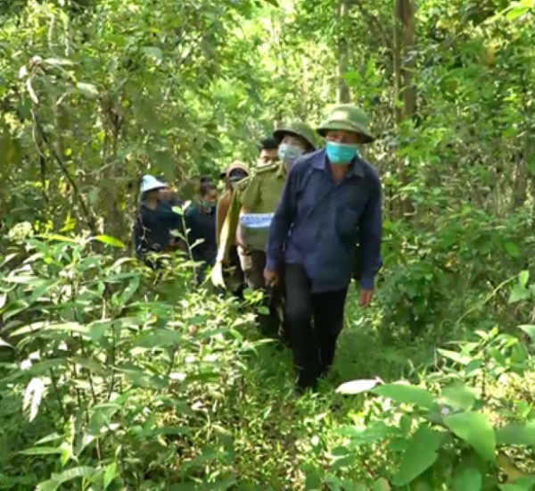 Tín chỉ carbon góp phần bảo vệ môi trường và bảo tồn đa dạng sinh học