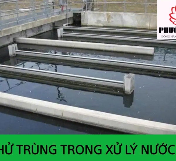 BỂ KHỬ TRUNG TRONG XỬ LÝ NƯỚC THẢI