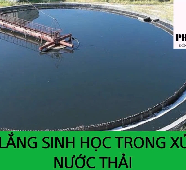 BỂ LẮNG SINH HỌC TRONG XỬ LÝ NƯỚC THẢI