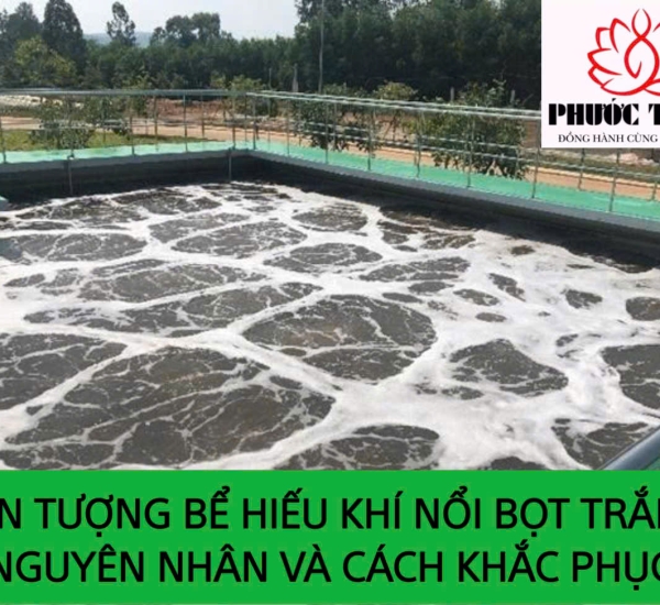 HIỆN TƯỢNG BỂ HIẾU KHÍ NỔI BỌT TRẮNG: NGUYÊN NHÂN VÀ CÁCH KHẮC PHỤC