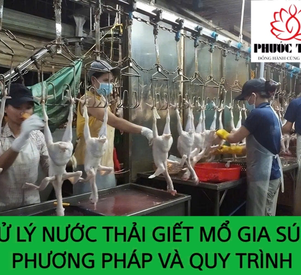 XỬ LÝ NƯỚC THẢI GIẾT MỔ GIA SÚC: PHƯƠNG PHÁP VÀ QUY TRÌNH