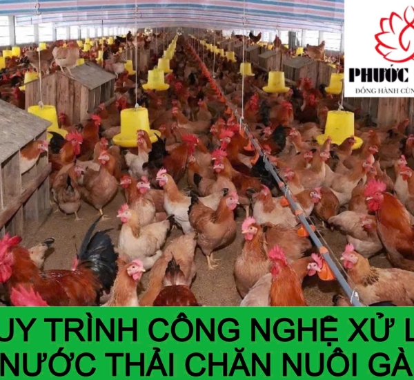 QUY TRÌNH CÔNG NGHỆ XỬ LÝ NƯỚC THẢI CHĂN NUÔI GÀ