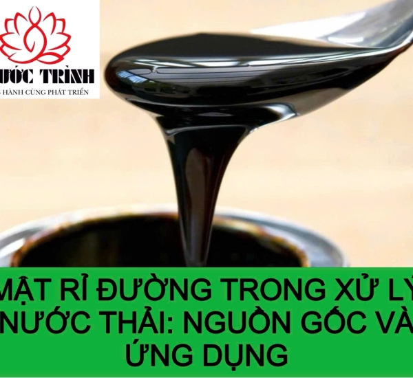 MẬT RỈ ĐƯỜNG TRONG XỬ LÝ NƯỚC THẢI: NGUỒN GỐC VÀ ỨNG DỤNG