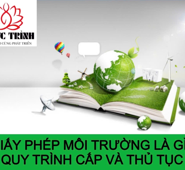 GIẤY PHÉP MÔI TRƯỜNG LÀ GÌ? QUY TRÌNH CẤP VÀ THỦ TỤC