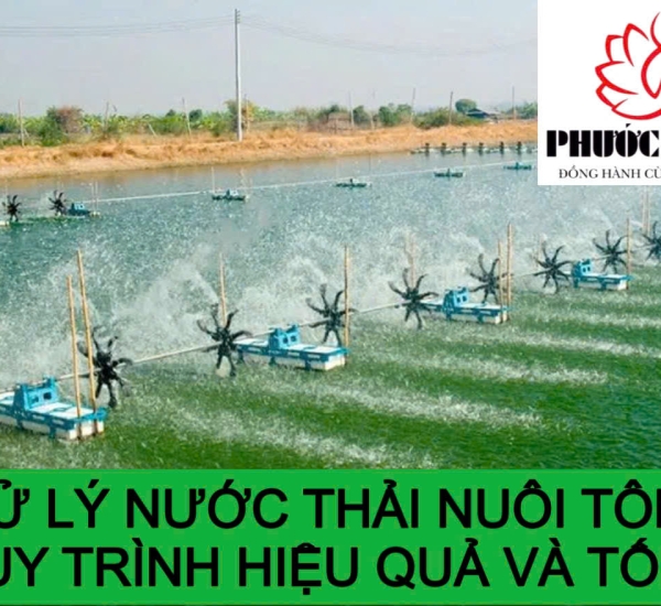 XỬ LÝ NƯỚC THẢI NUÔI TÔM: 4 QUY TRÌNH HIỆU QUẢ VÀ TỐI ƯU