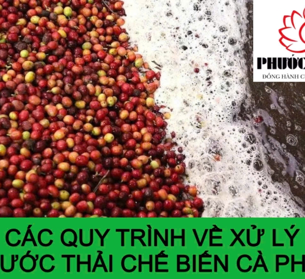 CÁC QUY TRÌNH VỀ XỬ LÝ NƯỚC THẢI CHẾ BIẾN CÀ PHÊ