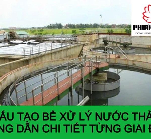 CẤU TẠO BỂ XỬ LÝ NƯỚC THẢI: HƯỚNG DẪN CHI TIẾT TỪNG GIAI ĐOẠN