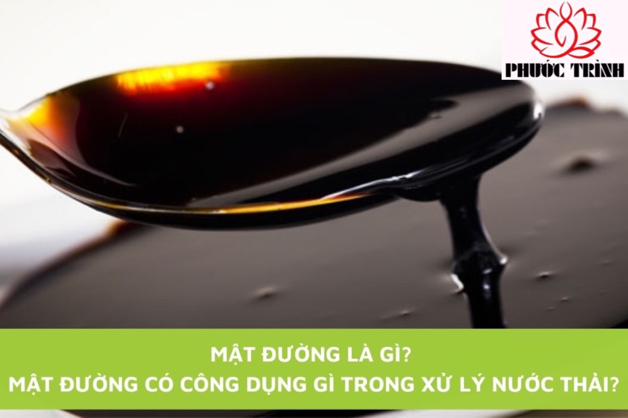 MẬT ĐƯỜNG LÀ GÌ? MẬT ĐƯỜNG CÓ CÔNG DỤNG GÌ TRONG XỬ LÝ NƯỚC THẢI