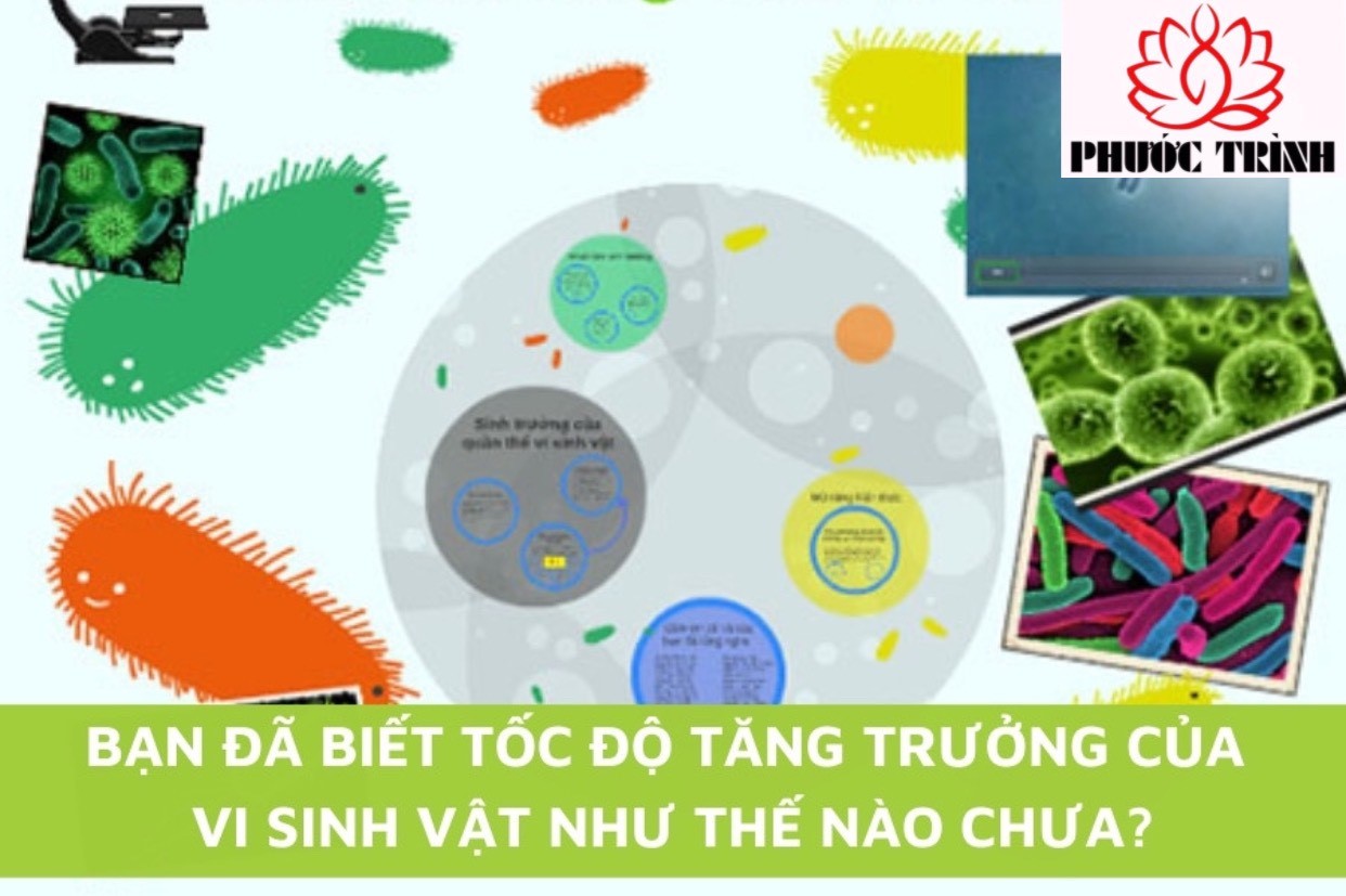 BẠN ĐÃ BIẾT TỐC ĐỘ TĂNG TRƯỞNG CỦA VI SINH VẬT NHƯ THẾ NÀO CHƯA?