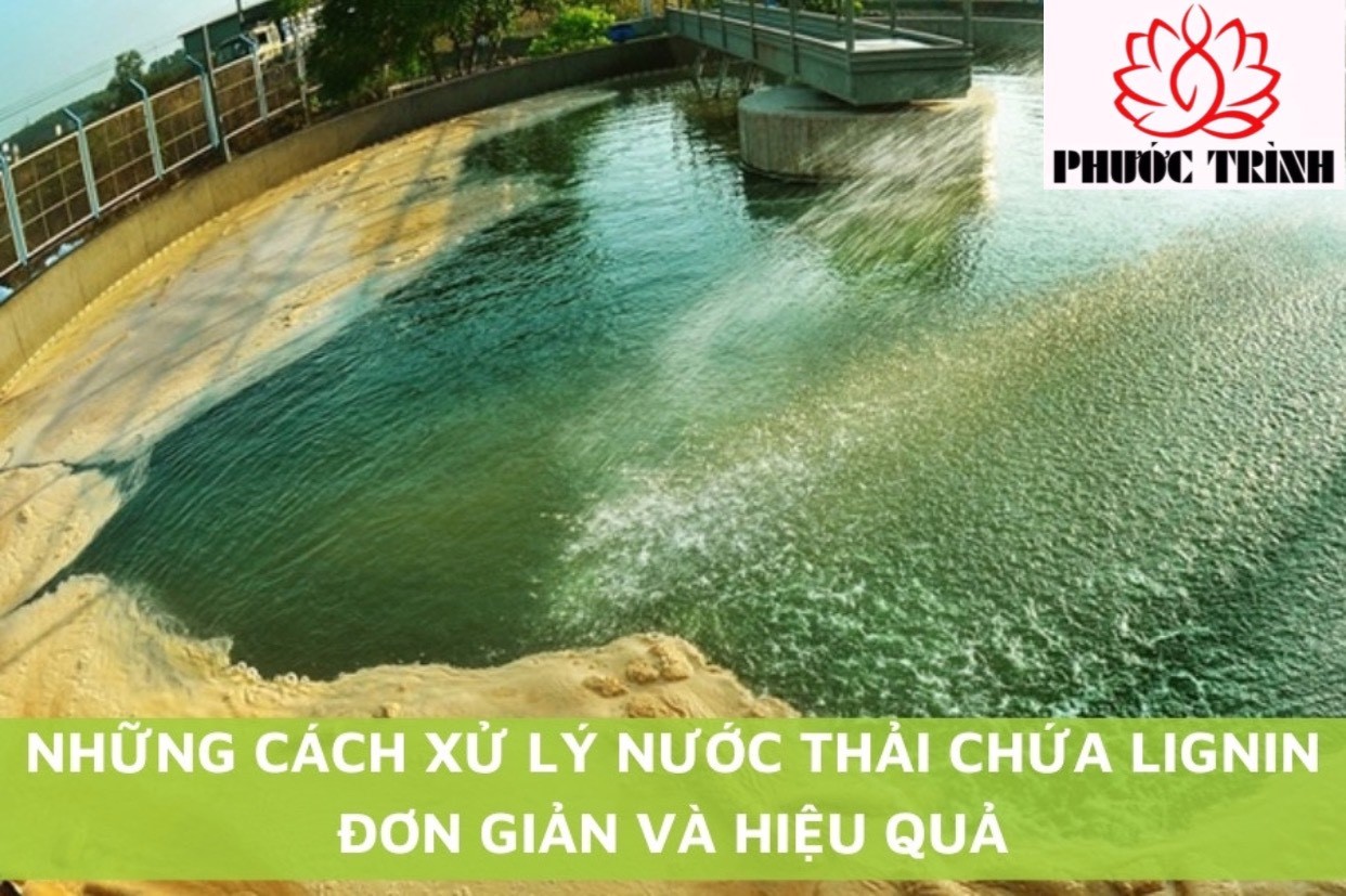 NHỮNG CÁCH XỬ LÝ NƯỚC THẢI CHỨA LIGNIN ĐƠN GIẢN VÀ HIỆU QUẢ