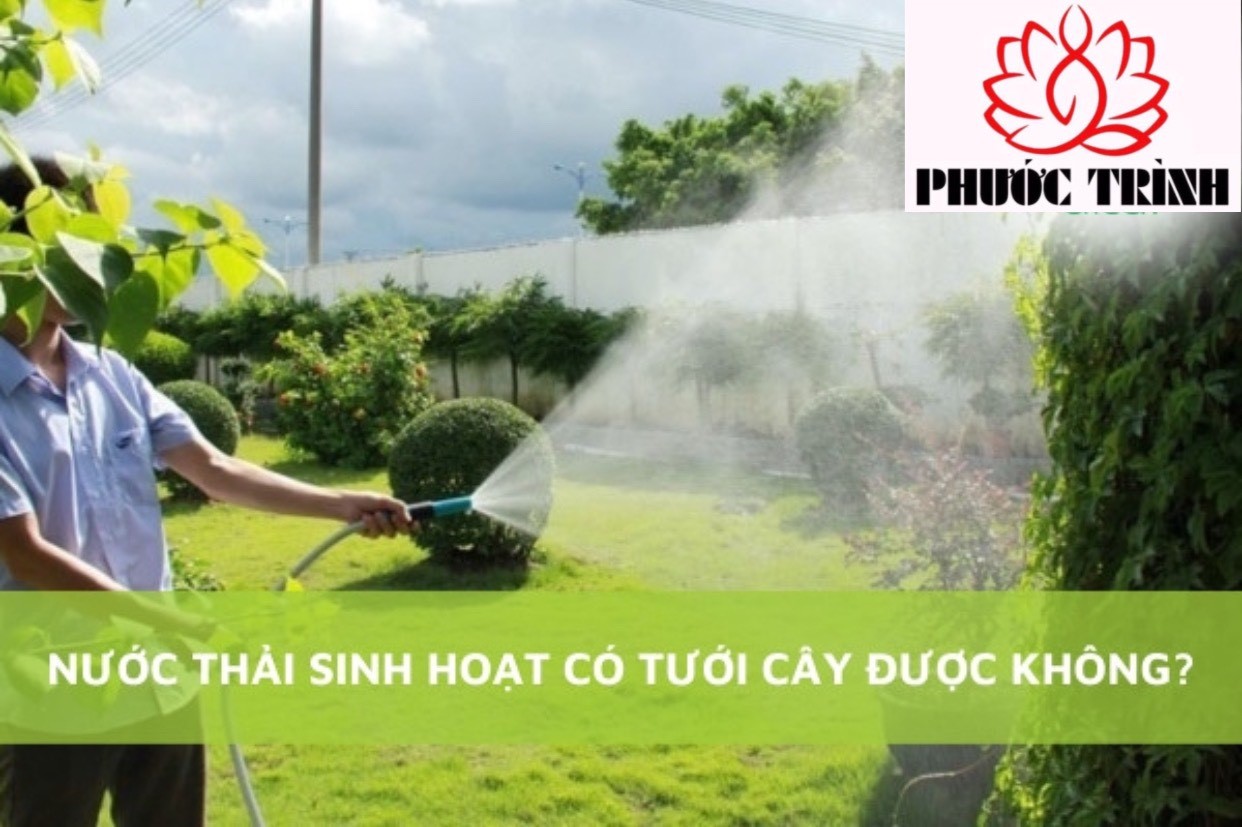 NƯỚC THẢI SINH HOẠT CÓ TƯỚI CÂY ĐƯỢC KHÔNG?