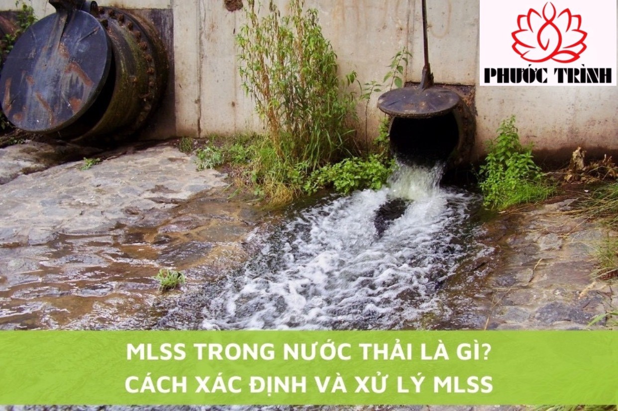 MLSS TRONG NƯỚC THẢI LÀ GÌ? CÁCH XÁC ĐỊNH VÀ CÁCH XỬ LÝ MLSS