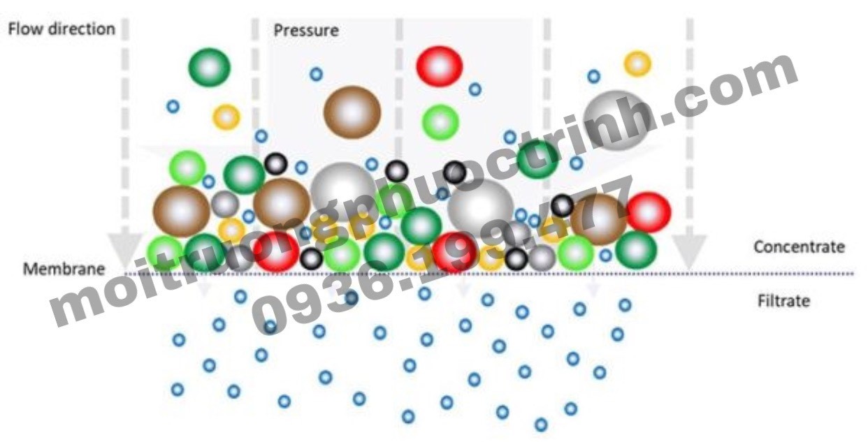 LỌC THÔ LÀ GÌ? CÓ CẦN THIẾT TRONG XỬ LÝ NƯỚC SẠCH?