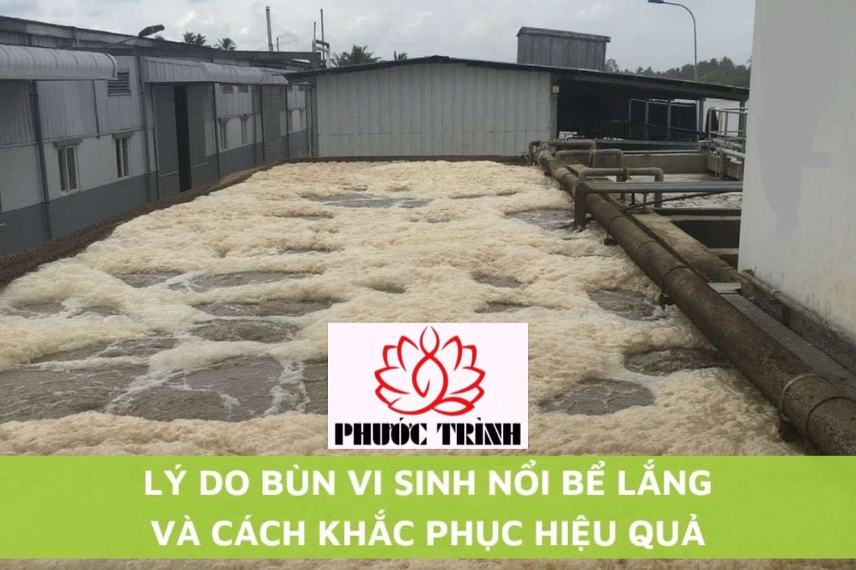 LÝ DO BÙN VI SINH NỔI BỂ LẮNG VÀ CÁCH KHẮC PHỤC HIỆU QUẢ