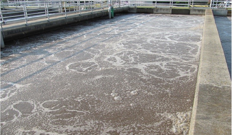 CÁCH NUÔI BÙN HIẾU KHÍ NHANH LÊN