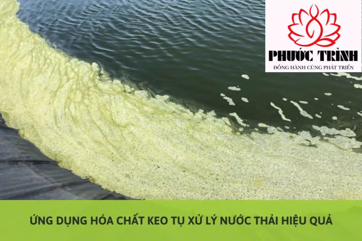 ỨNG DỤNG HÓA CHẤT KEO TỤ XỬ LÝ NƯỚC THẢI HIỆU QUẢ