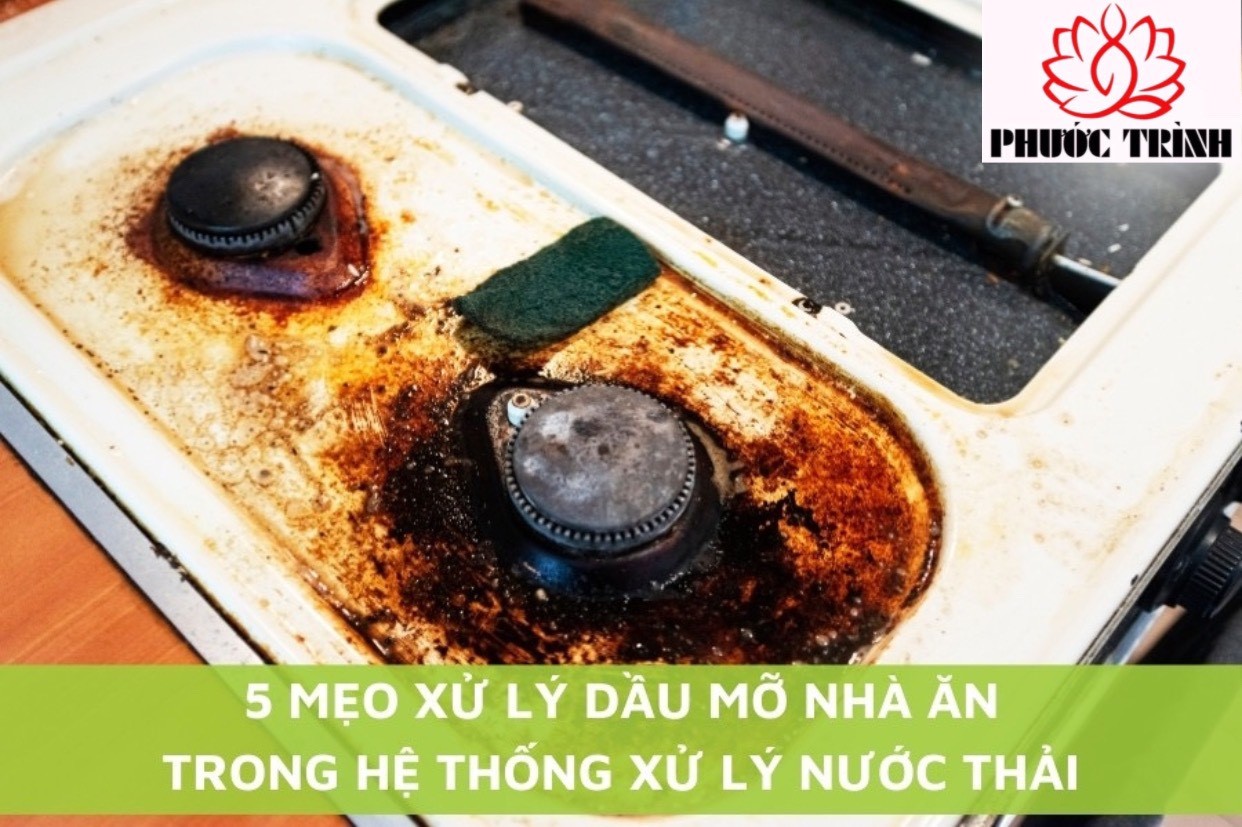 5 MẸO XỬ LÝ DẦU MỠ NHÀ ĂN TRONG HỆ THỐNG XỬ LÝ NƯỚC THẢI