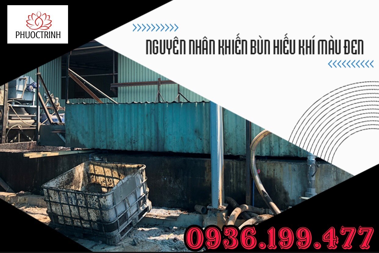 BÙN HIẾU KHÍ MÀU ĐEN: NGUYÊN NHÂN VÀ CÁCH KHẮC PHỤC