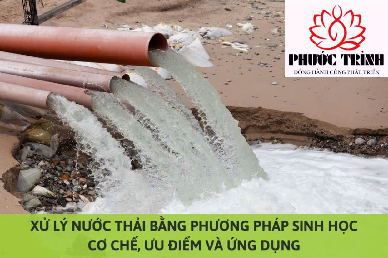 XỬ LÝ NƯỚC THẢI BẰNG PHƯƠNG PHÁP SINH HỌC: CƠ CHẾ, ƯU ĐIỂM VÀ ỨNG DỤNG