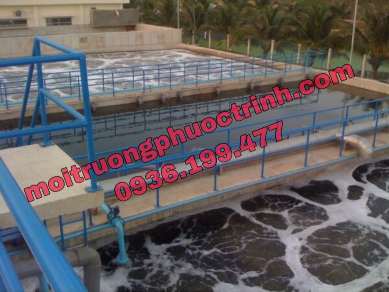 3 CÁCH XỬ LÝ NƯỚC THẢI AO NUÔI TÔM HIỆU QUẢ NHẤT