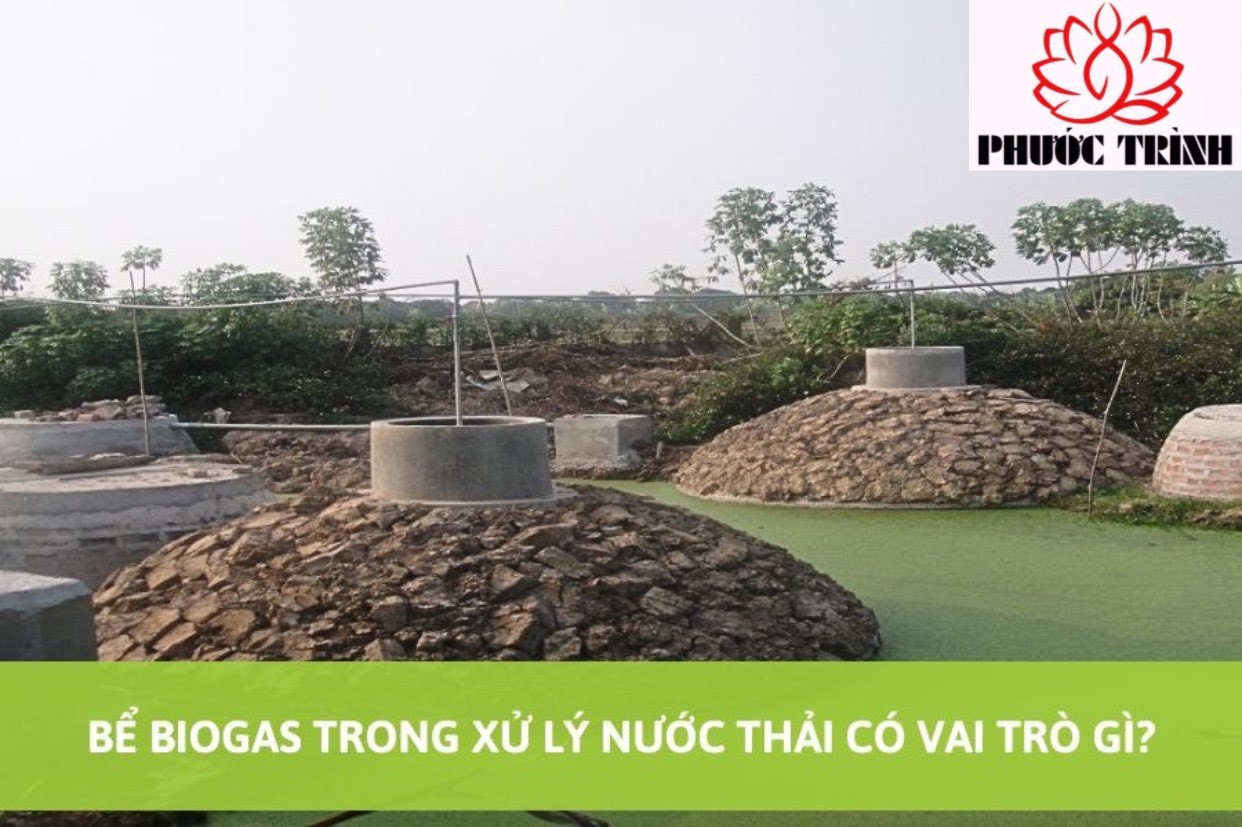 BỂ BIOGAS TRONG XỬ LÝ NƯỚC THẢI CÓ VAI TRÒ GÌ?