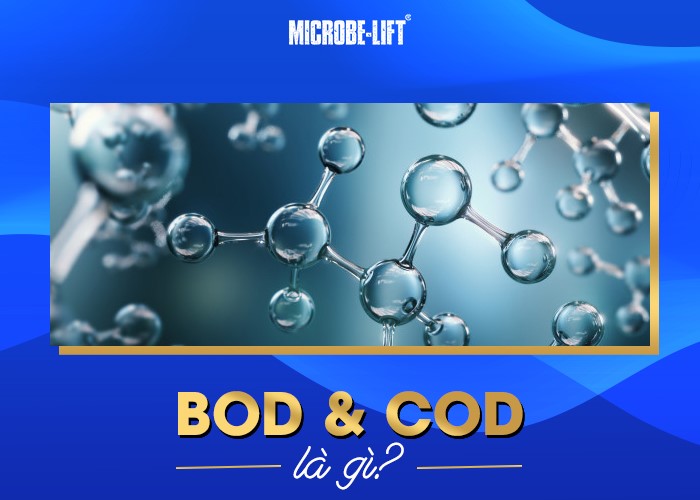 BOD VÀ COD LÀ GÌ? MỐI QUAN HỆ GIỮA BOD VÀ COD NHƯ THẾ NÀO?