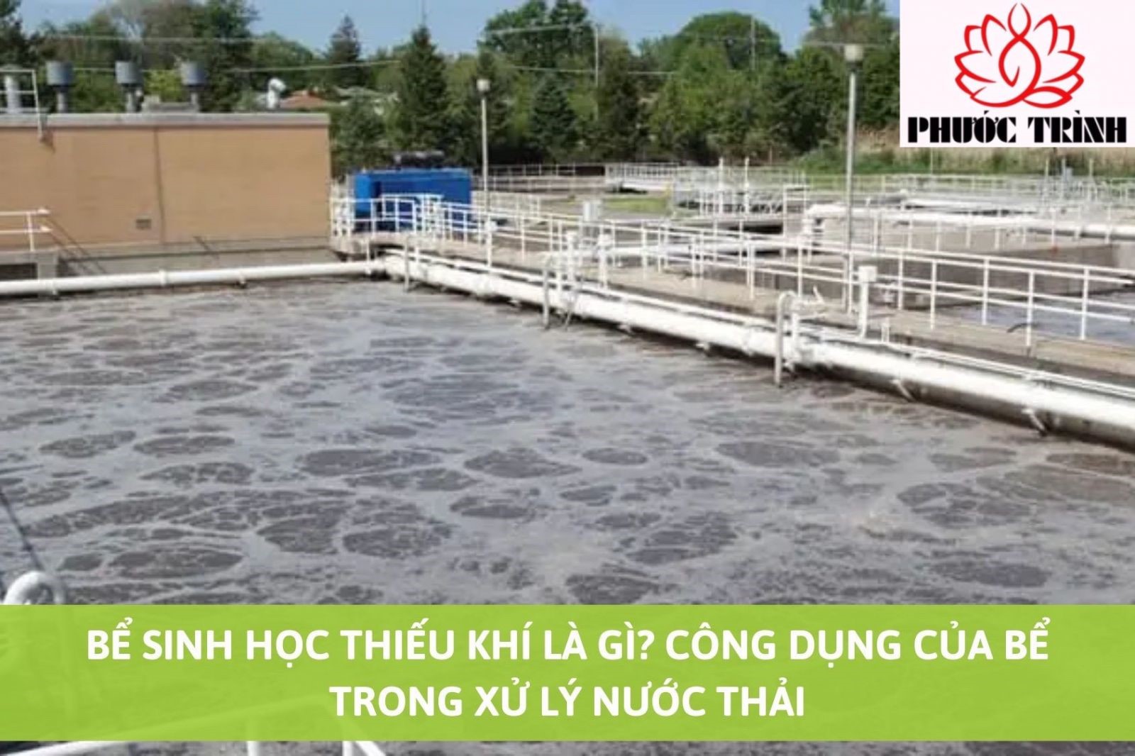 BỂ SINH HỌC THIẾU KHÍ LÀ GÌ? CÔNG DỤNG CỦA BỂ TRONG XỬ LÝ NƯỚC THẢI