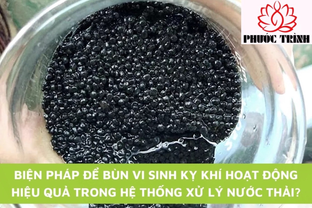 BIỆN PHÁP ĐỂ BÙN VI SINH KỴ KHÍ HOẠT ĐỘNG HIỆU QUẢ TRONG HỆ THỐNG XỬ LÝ NƯỚC THẢI?