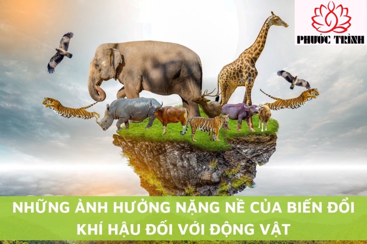NHỮNG ẢNH HƯỞNG NẶNG NỀ CỦA BIẾN ĐỔI KHÍ HẬU ĐỐI VỚI ĐỘNG VẬT