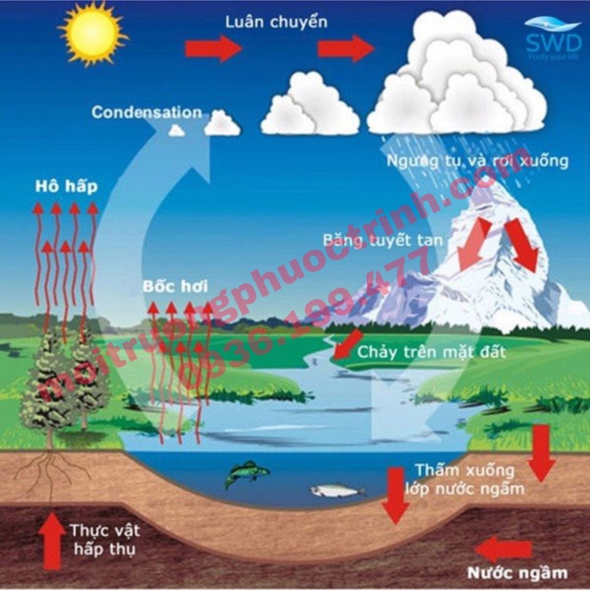 NGUYÊN NHÂN Ô NHIỄM NƯỚC NGẦM VÀ CÁC PHƯƠNG PHÁP XỬ LÝ