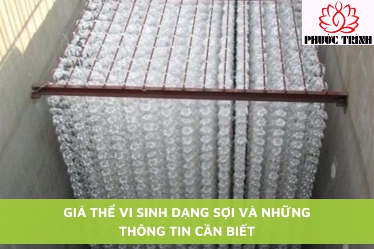GIÁ THỂ VI SINH DẠNG SỢI VÀ NHỮNG THÔNG TIN CẦN BIẾT