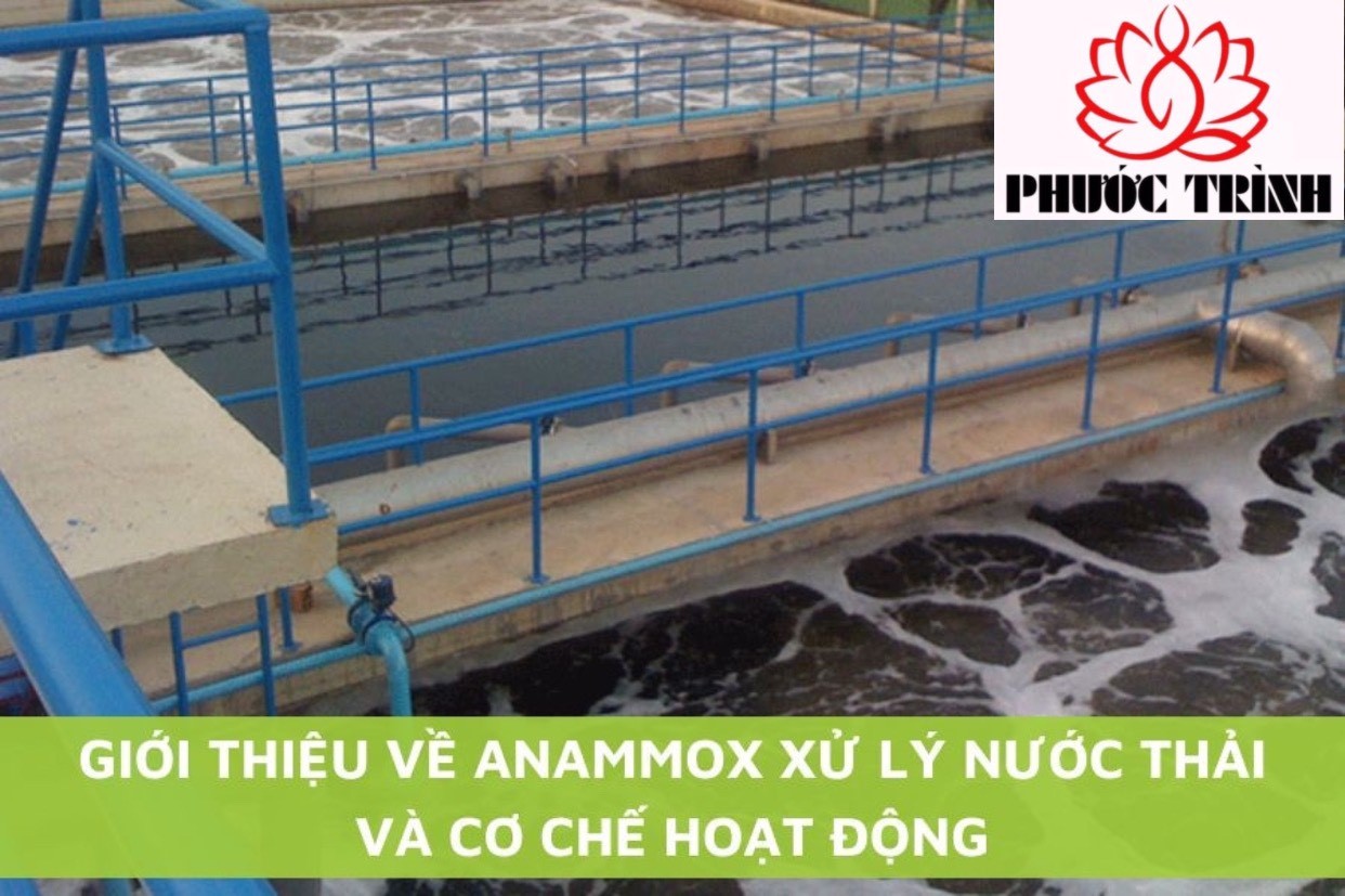 GIỚI THIỆU VỀ ANAMMOX XỬ LÝ NƯỚC THẢI VÀ CƠ CHẾ HOẠT ĐỘNG