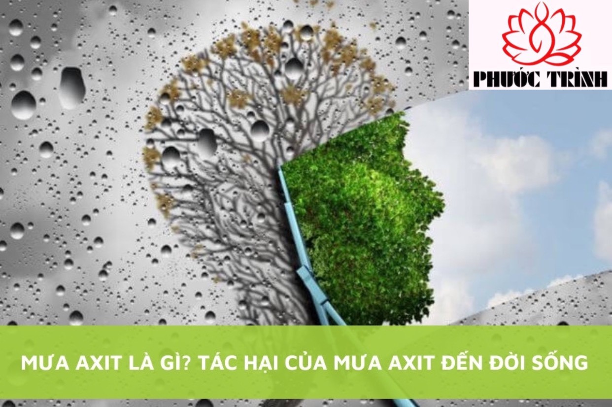MƯA AXIT LÀ GÌ? TÁC HẠI CỦA MƯA AXIT ĐẾN ĐỜI SỐNG