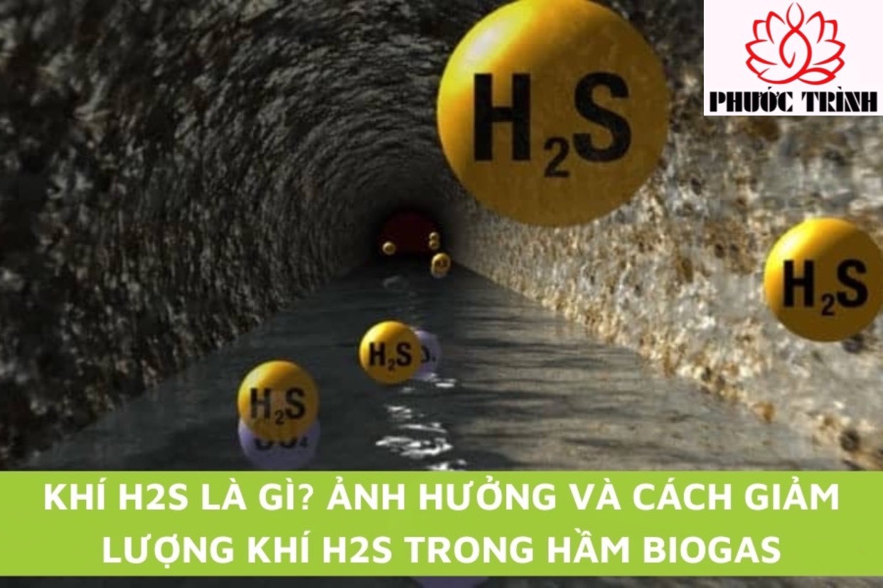KHÍ H2S LÀ GÌ? ẢNH HƯỞNG VÀ CÁCH GIẢM LƯỢNG KHÍ H2S TRONG HẦM BIOGAS