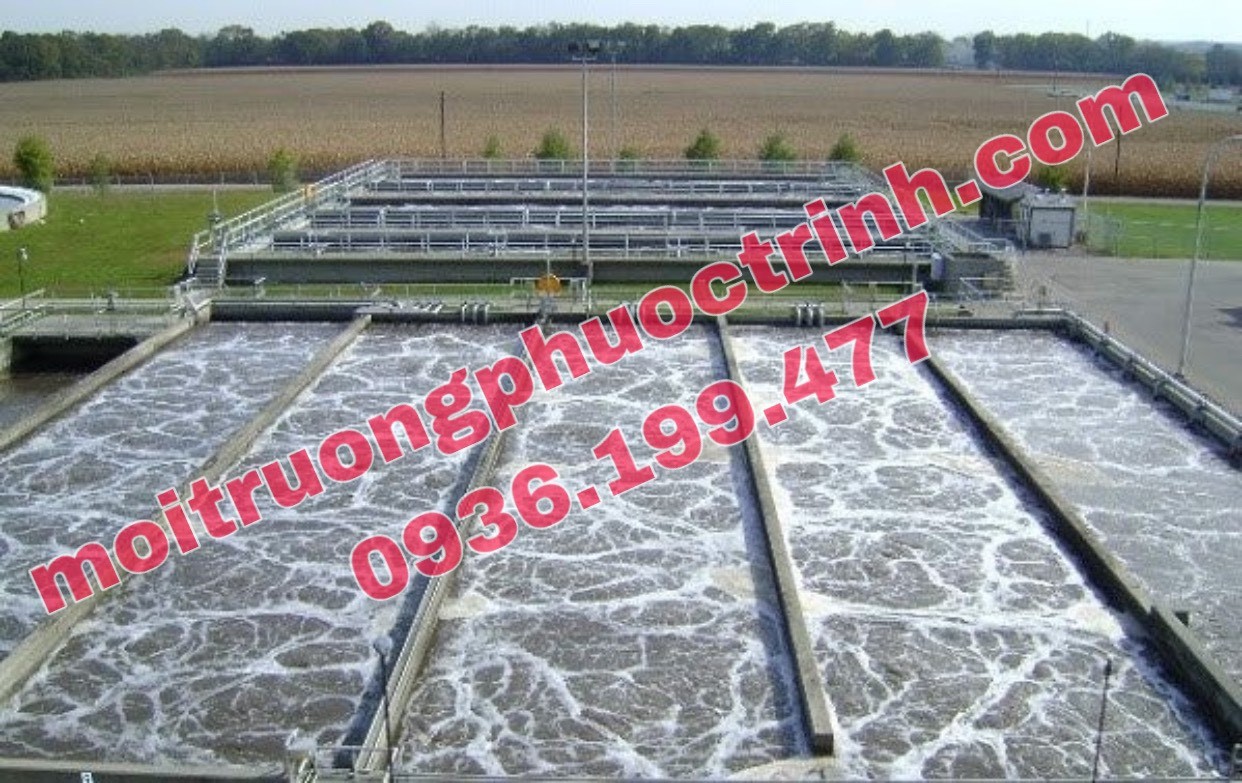 CHUYÊN GIA MÁCH BẠN CÁCH NUÔI CẤY VI SINH XỬ LÝ NƯỚC THẢI