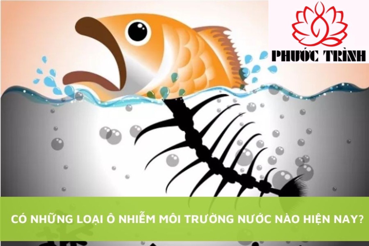 CÓ NHỮNG LOẠI Ô NHIỄM MÔI TRƯỜNG NƯỚC NÀO HIỆN NAY?