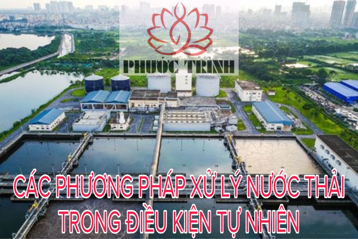 CÁC PHƯƠNG PHÁP XỬ LÝ NƯỚC THẢI TRONG ĐIỀU KIỆN TỰ NHIÊN