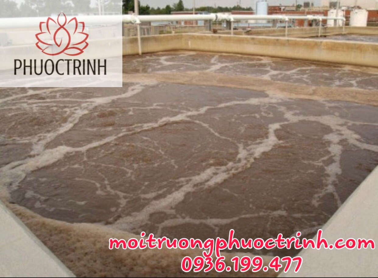 CÁC SỰ CỐ BÙN VI SINH HOẠT TÍNH VÀ CÁCH KHẮC PHỤC TRONG XỬ LÝ NƯỚC THẢI