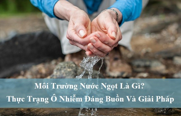 MÔI TRƯỜNG NƯỚC NGỌT LÀ GÌ? THỰC TRẠNG Ô NHIỄM ĐÁNG BUỒN VÀ GIẢI PHÁP