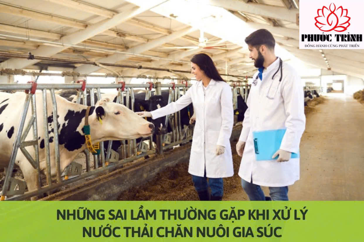 NHỮNG SAI LẦM THƯỜNG GẶP KHI XỬ LÝ NƯỚC THẢI CHĂN NUÔI GIA SÚC