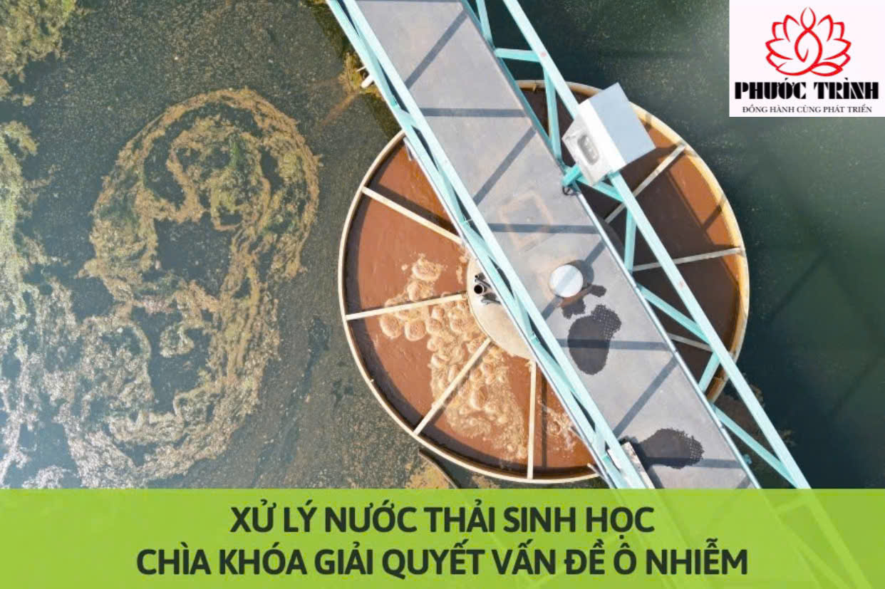 XỬ LÝ NƯỚC THẢI SINH HỌC: CHÌA KHÓA GIẢI QUYẾT VẤN ĐỀ Ô NHIỄM