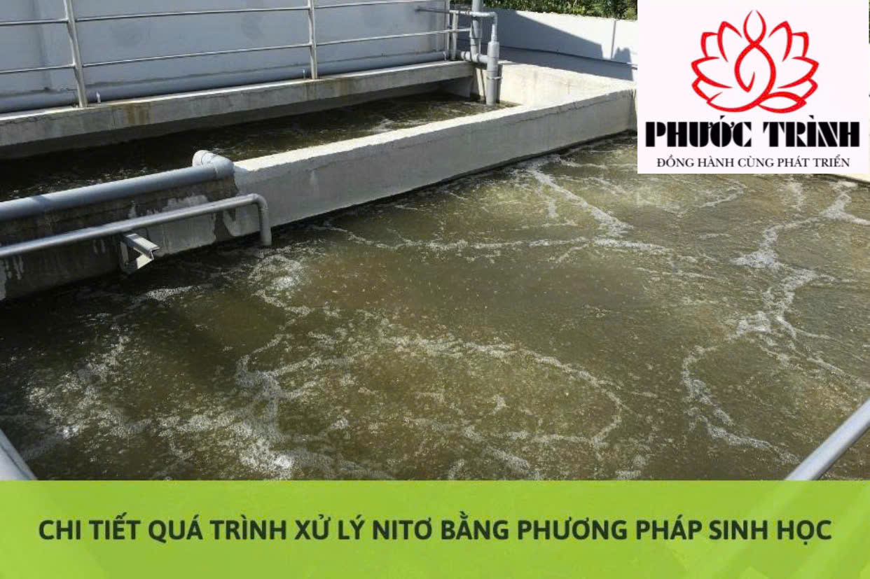 CHI TIẾT QUẢ TRÌNH XỬ LÝ NITO BẰNG PHƯƠNG PHÁP SINH HỌC
