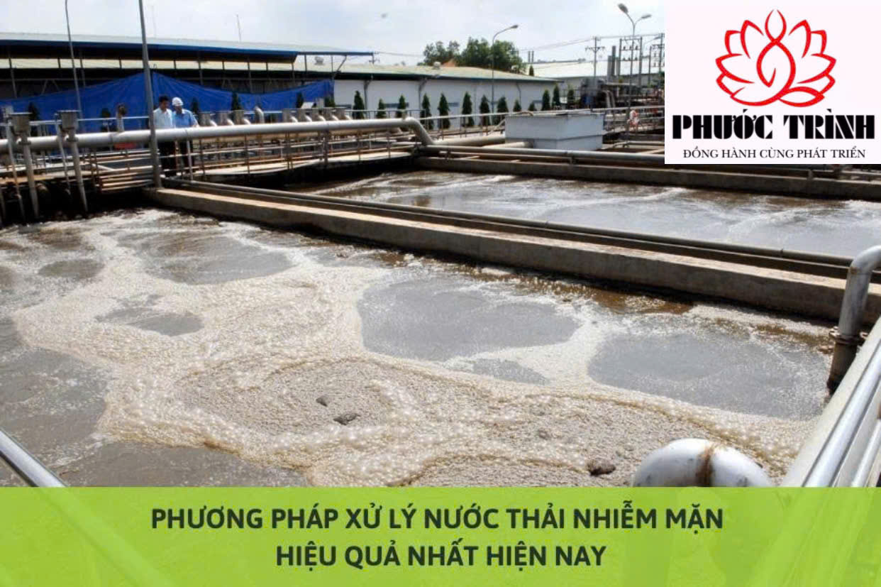 PHƯƠNG PHÁP XỬ LÝ NƯỚC THẢI NHIỄM MẶN HIỆU QUẢ NHẤT HIỆN NAY