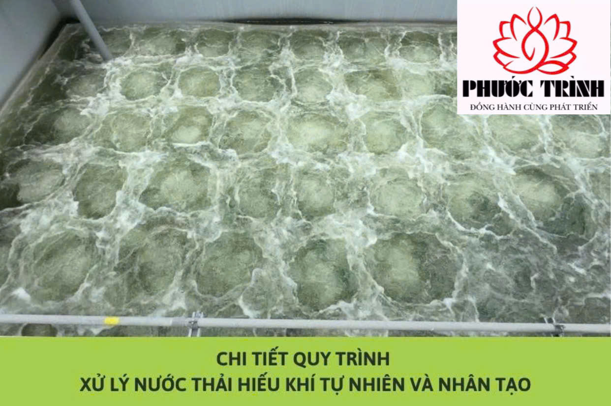 CHI TIẾT QUY TRÌNH XỬ LÝ NƯỚC THẢI HIẾU KHÍ TỰ NHIÊN VÀ NHÂN TẠO