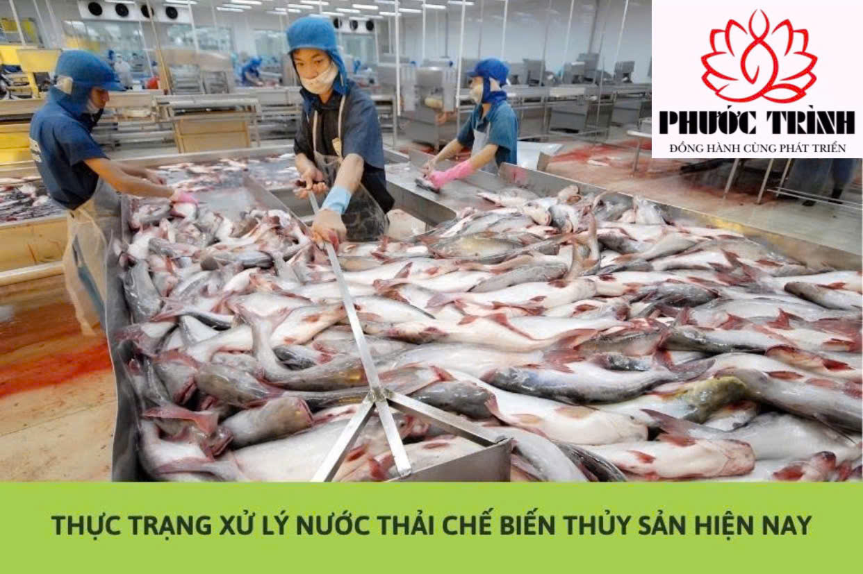 THỰC TRẠNG XỬ LÝ NƯỚC THẢI CHẾ BIẾN THỦY SẢN HIỆN NAY