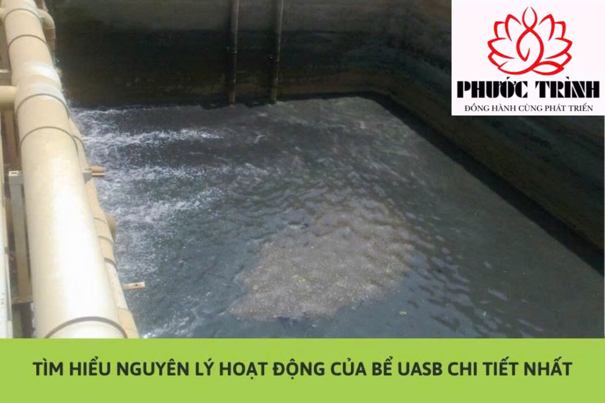 TÌM HIỂU NGUYÊN LÝ HOẠT ĐỘNG CỦA BỂ UASB CHI TIẾT NHẤT