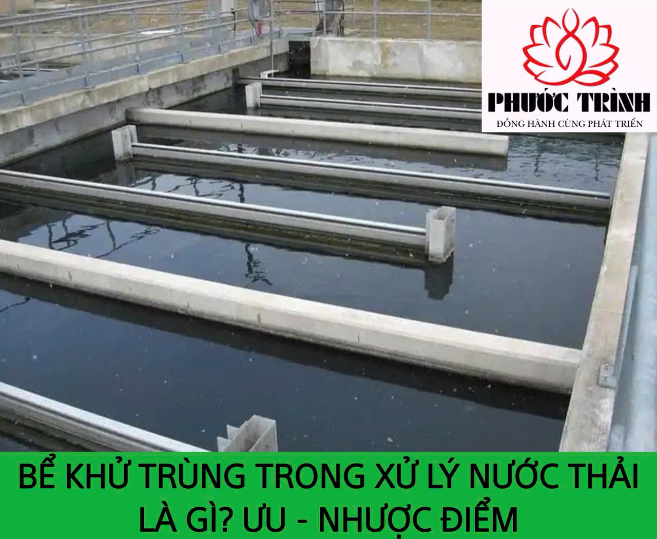BỂ KHỬ TRUNG TRONG XỬ LÝ NƯỚC THẢI LÀ GÌ? ƯU - NHƯỢC ĐIỂM