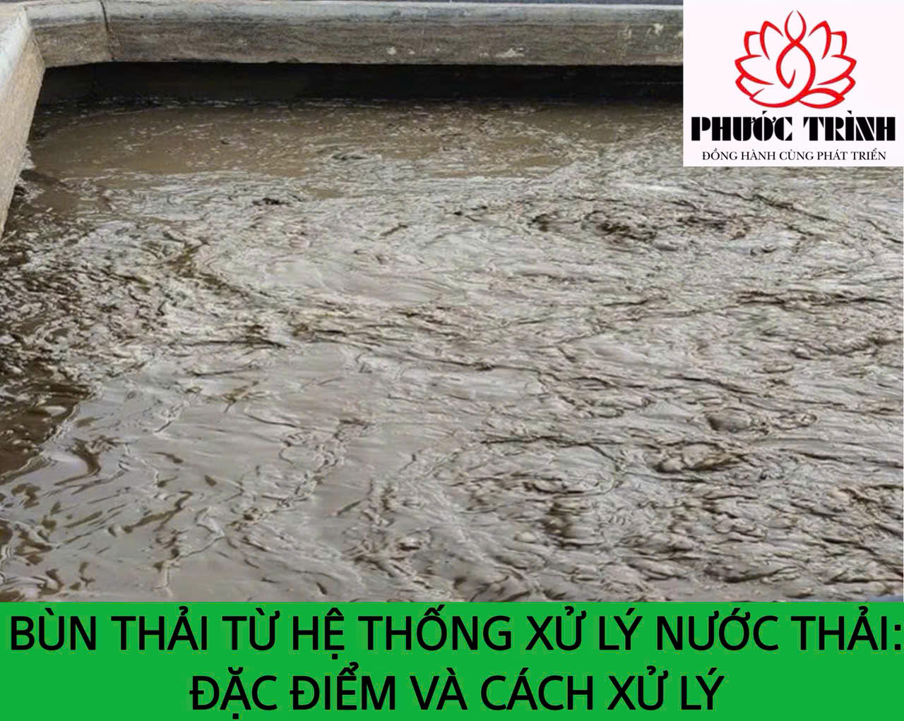 BÙN THẢI TỪ HỆ THỐNG XỬ LÝ NƯỚC THẢI: ĐẶC ĐIỂM VÀ CÁCH XỬ LÝ
