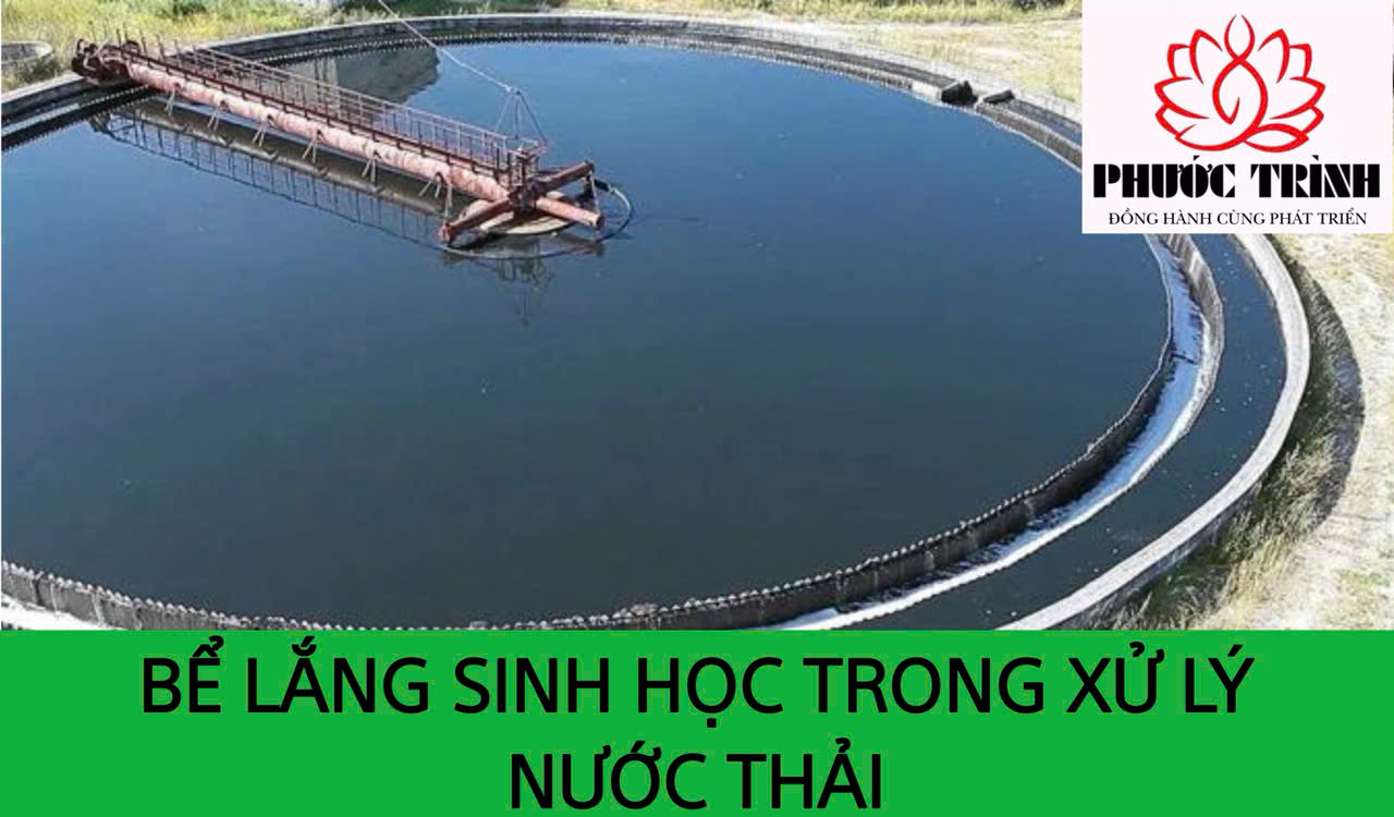 BỂ LẮNG SINH HỌC TRONG XỬ LÝ NƯỚC THẢI